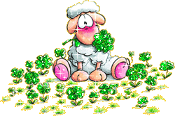 Diddle Clover